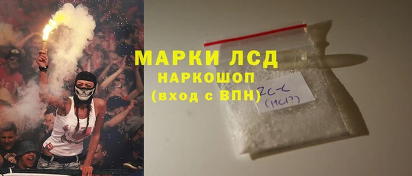 прущие грибы Богородск