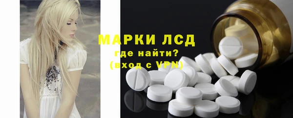 прущие грибы Богородск