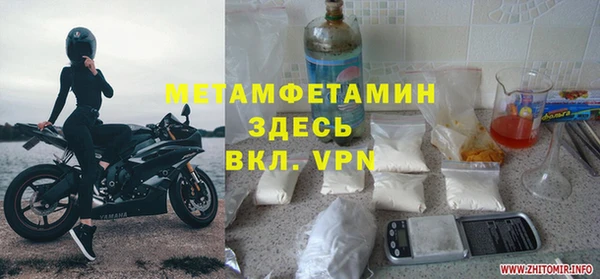 прущие грибы Богородск