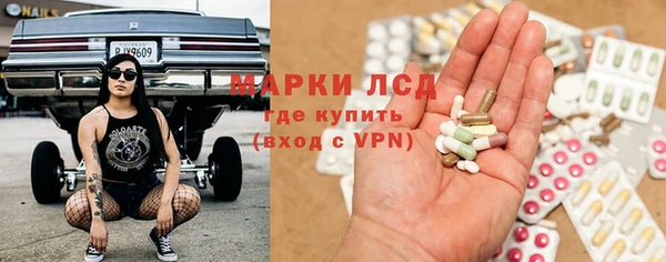 прущие грибы Богородск