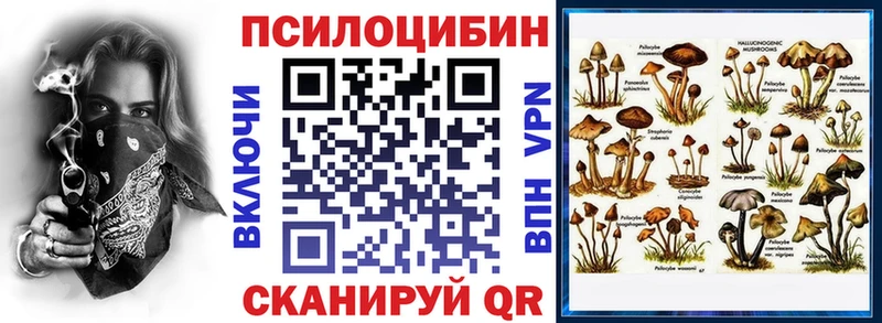 Купить закладки  Алзамай  Псилоцибиновые грибы Magic Shrooms 